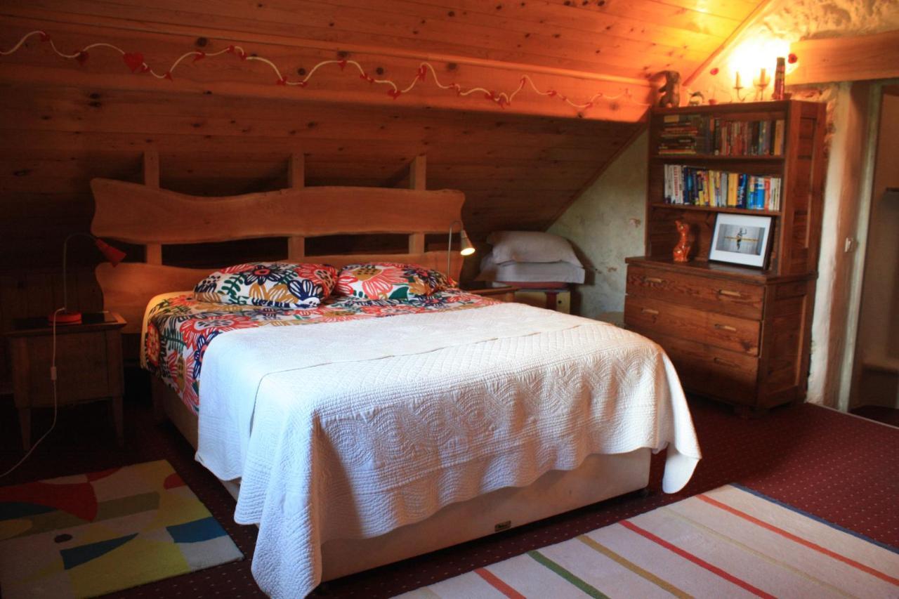 La Clairiere Du Moulin Bed and Breakfast Lepin-le-Lac Buitenkant foto