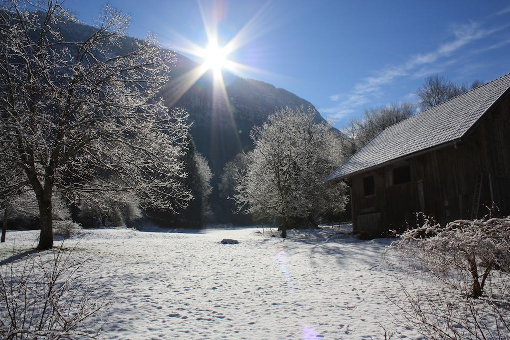 La Clairiere Du Moulin Bed and Breakfast Lepin-le-Lac Buitenkant foto